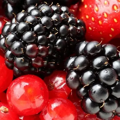 Ежевика в Новокузнецке