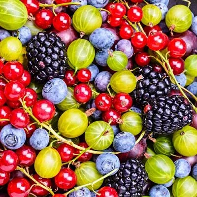 СУПЕР НОВИНКИ в Новокузнецке