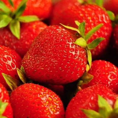 Клубника в Новокузнецке