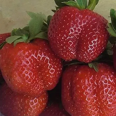 Клубника ДЕСТЕНИ  Клубника ДЕСТЕНИ в Новокузнецке