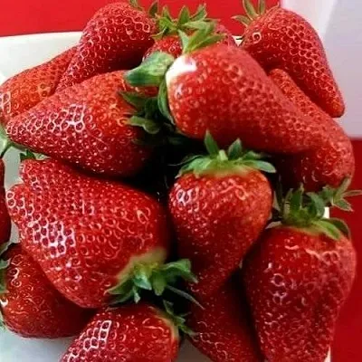 Клубника БРИЛЛА  Клубника БРИЛЛА в Новокузнецке