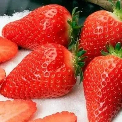 Клубника АЛЬБА  Клубника АЛЬБА в Новокузнецке