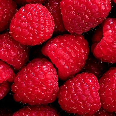 Малина в Новокузнецке